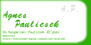 agnes paulicsek business card